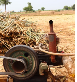 Maharashtra Plans Financial Support for Cooperative Sugar Mills Ahead of Crushing Season
